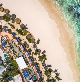 SALT OF PALMAR (ADULTS ONLY 16+)