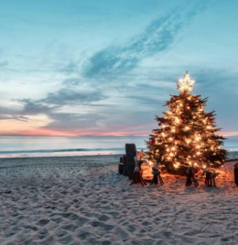 КОЛЕДА 2025 - Перлите на Египет - Хургада и Кайро с полет от София