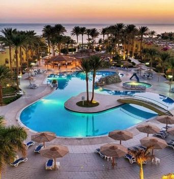 Palm Beach Resort Standard