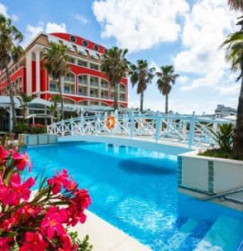 ORANGE COUNTY BELEK