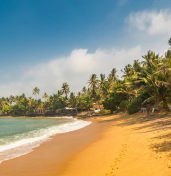 АПРИЛСКА ВАКАНЦИЯ 2026 В ШРИ ЛАНКА / ОБИКОЛЕН ТУР С ПОЧИВКА - 8 НОЩУВКИ, 11 ДНИ / ДАТИ: 27.03.2026 - 05.04.2026