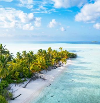 МАЛДИВИ - НОВА ГОДИНА 2026 / САМОЛЕТНА ПРОГРАМА С ПОЛЕТ ОТ СОФИЯ / 8 НОЩУВКИ, 11 ДНИ / 29.12.2025 - 08.01.2026