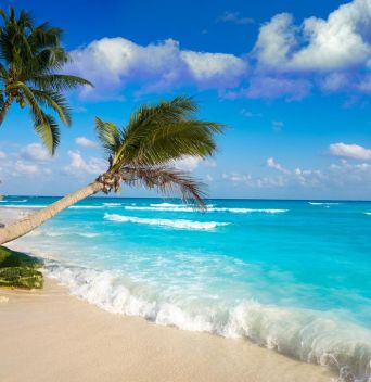 МЕКСИКО - БЕЛИ ПЯСЪЦИ, БЕЗКРАЙНИ ПЛАЖОВЕ, ДРЕВНИ ГРАДОВЕ / ДАТИ: 11.01.2026 - 23.01.2026 / 10 НОЩУВКИ, 12 ДНИ