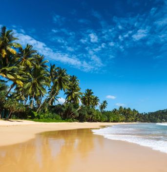 АПРИЛСКА ВАКАНЦИЯ 2026 В ШРИ ЛАНКА / ПОЧИВКА - 8 НОЩУВКИ, 11 ДНИ / ДАТИ: 27.03.2026 - 05.04.2026